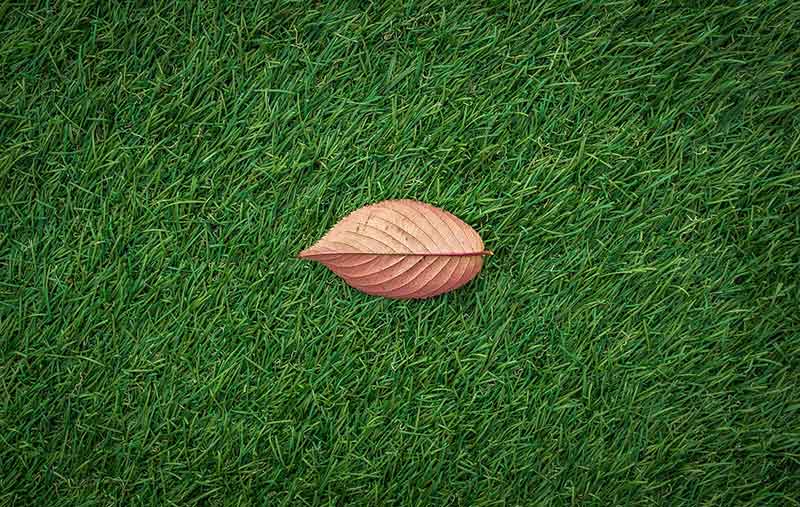Artificial Grass Artificial Grass